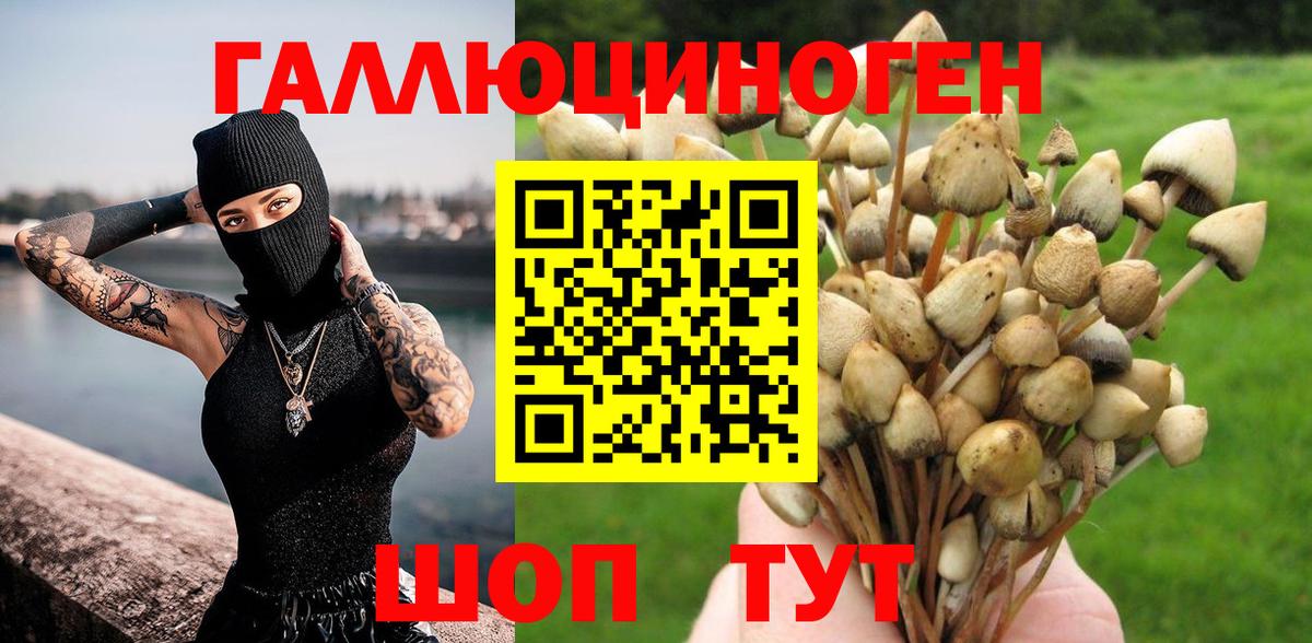 Галлюциногенные грибы Psilocybine cubensis  Галлюциногенные грибы MAGIC MUSHROOMS  Вход с VPN  Кольчугино 