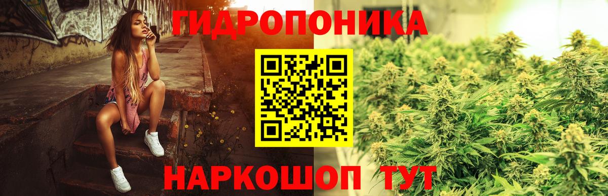 Шишки марихуана индика Кольчугино
